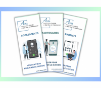 Plaquettes du dispositif